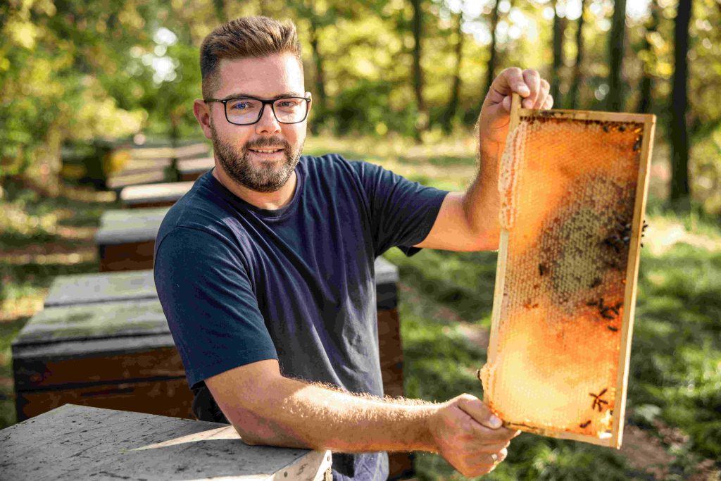 Gál Attila, a debreceni BeoBee Méhészet vezető méhésze